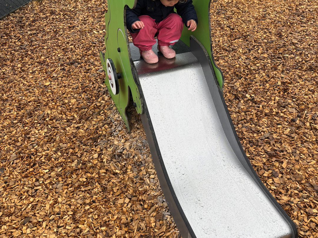 The Dinosaur Park-腾比必去景点