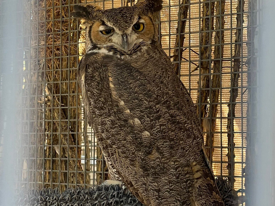 Southwest Wildlife Conservation Center-斯科茨代尔必去景点