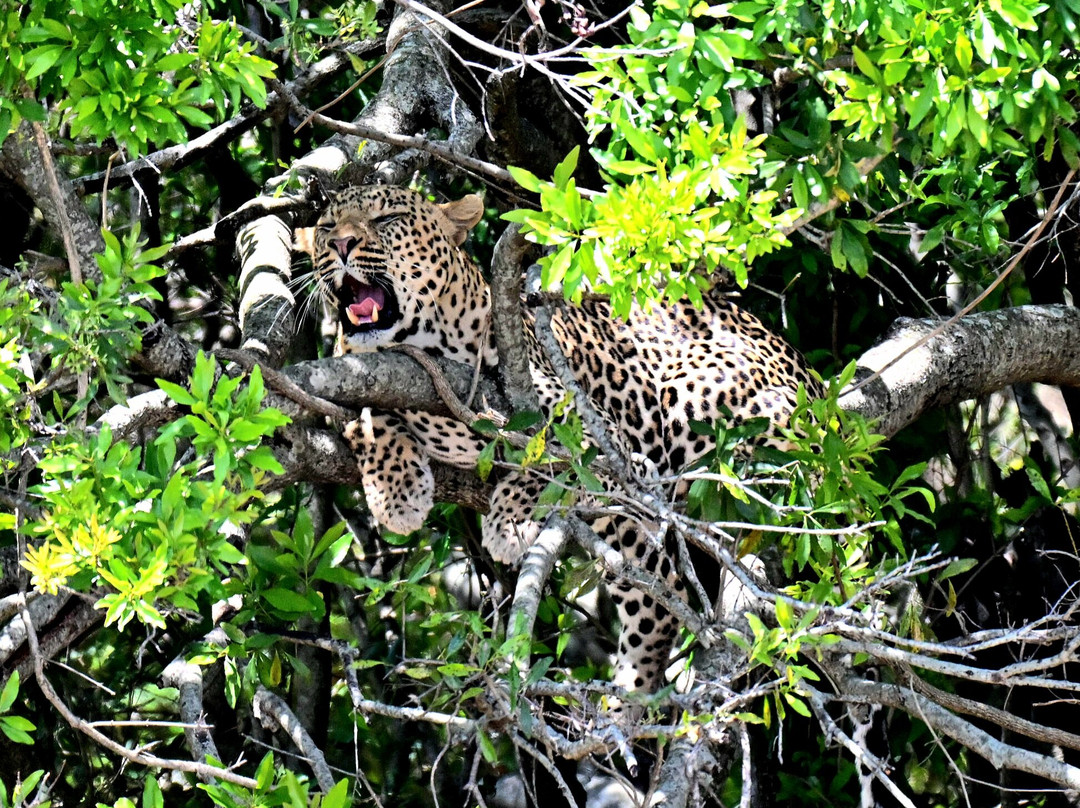 Tanzania Specialist-阿鲁沙必去景点