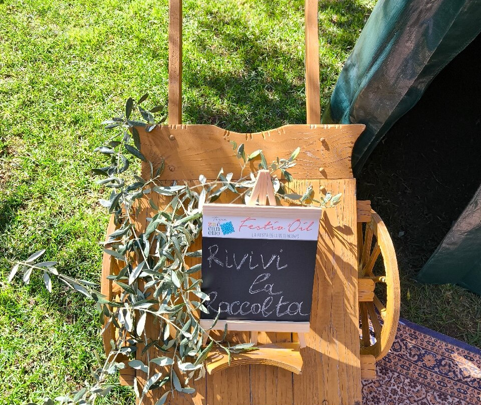 Terre di Zaccanello主图