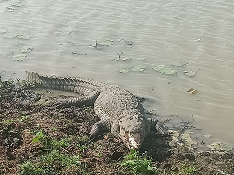 Yala Safaris - Private Tours-蒂瑟默哈拉默必去景点