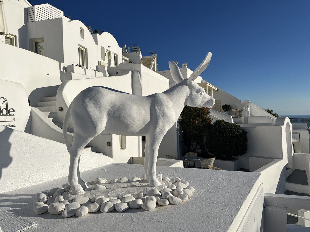 米尔典雅套房酒店主图