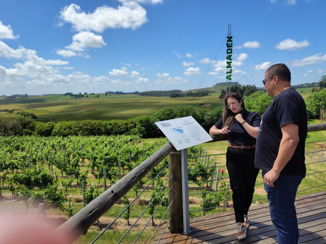 Vinícola Almadén-Santana do Livramento必去景点