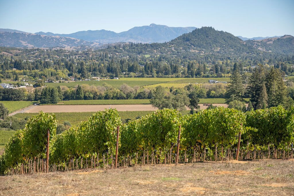 Flanagan Winery-希尔兹堡必去景点