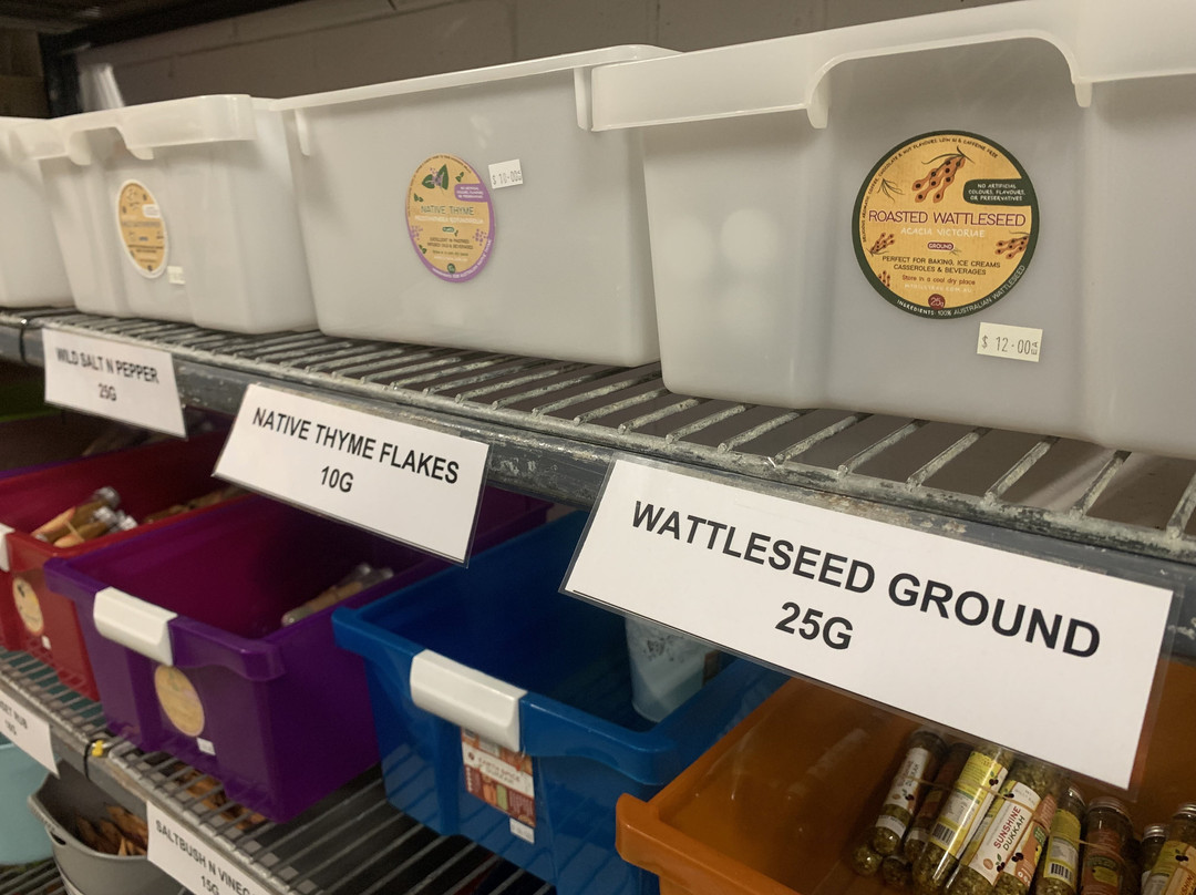 My Dilly Bag-Forest Glen必去景点