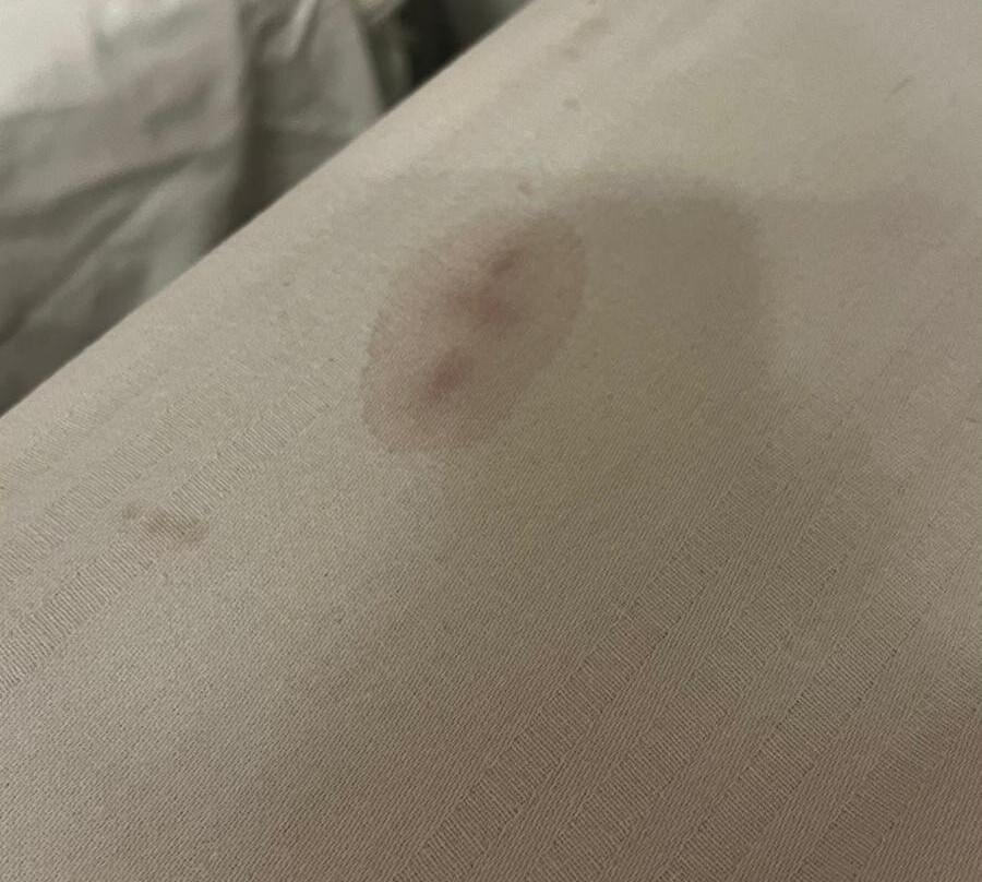 Villa Pace Park Hotel Bolognese主图