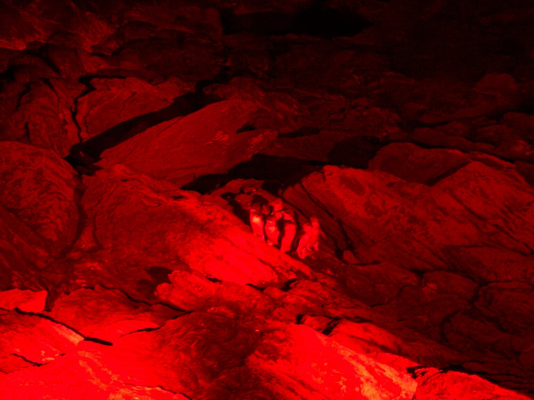 Penneshaw Penguin Centre-Penneshaw必去景点