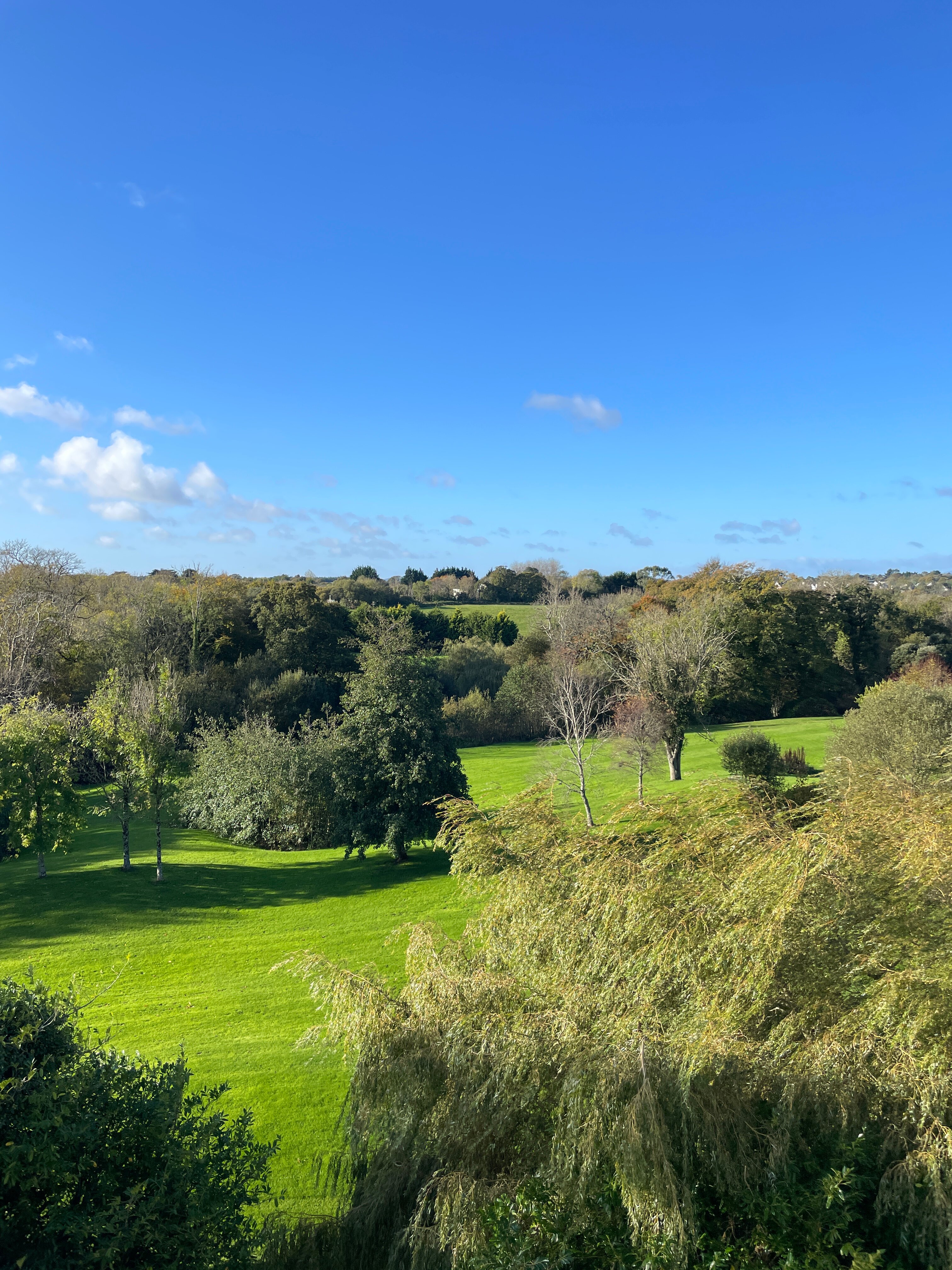 Seafield Hotel & Spa Resort-酒店景观