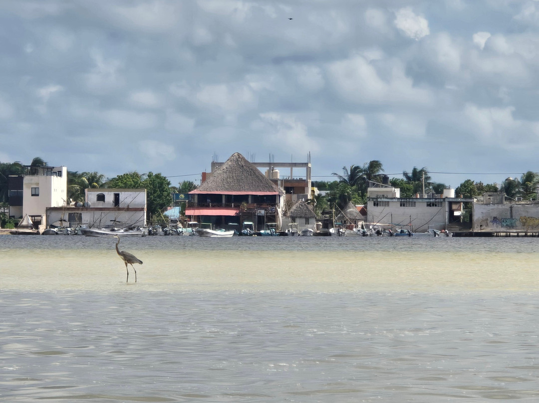Guia Naturalista William Canto-里奥拉加托斯必去景点