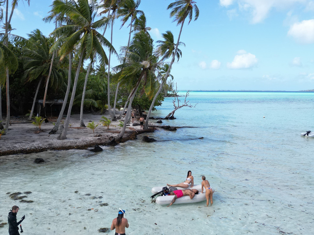 Bluewater Breeze Co.-火奴鲁鲁必去景点