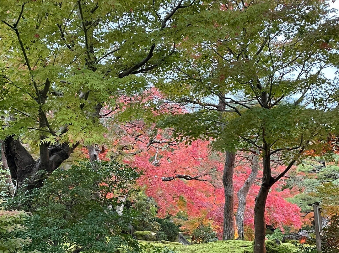 由志園-松江市必去景点