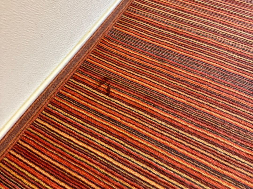 Ace Hotel Paris Marne La Vallee主图