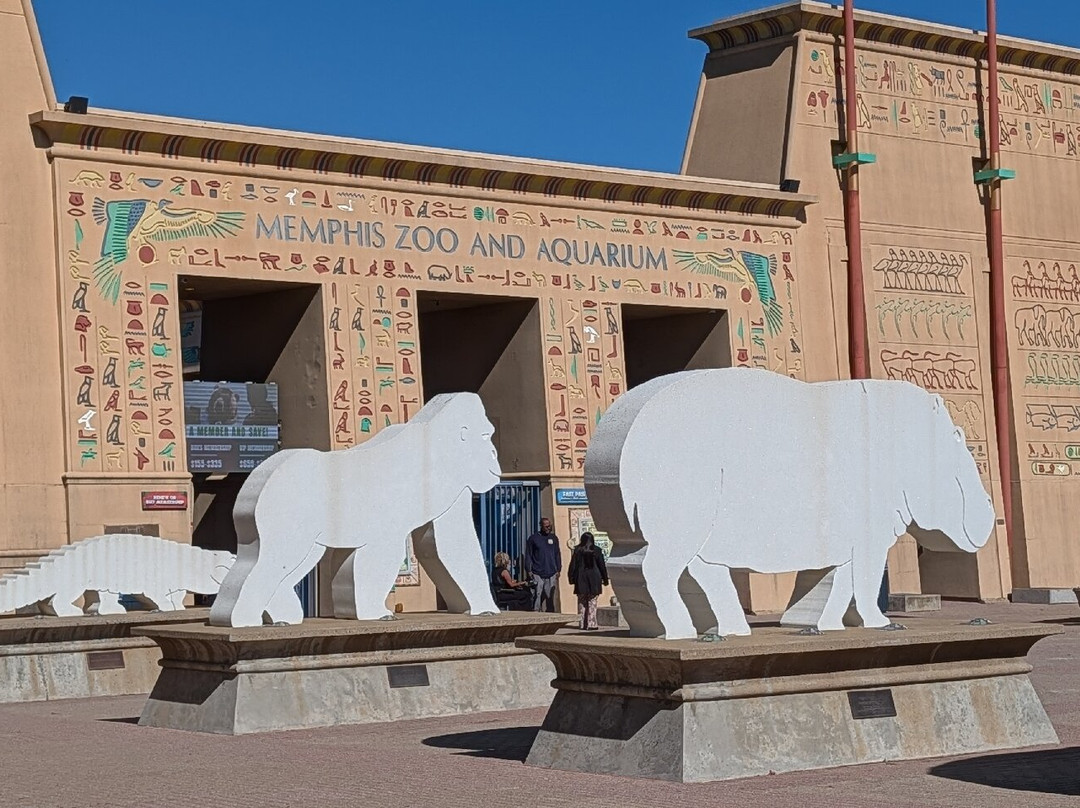 Memphis Zoo-孟菲斯必去景点