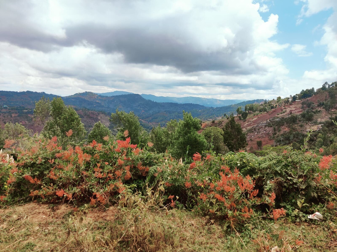 Usambara Eco Tours-卢绍托必去景点