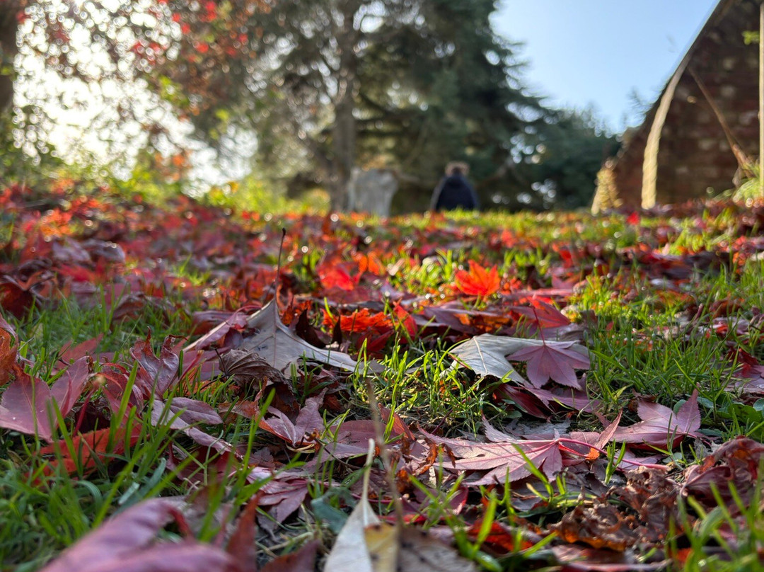 Mount Ephraim Gardens-Hernhill必去景点