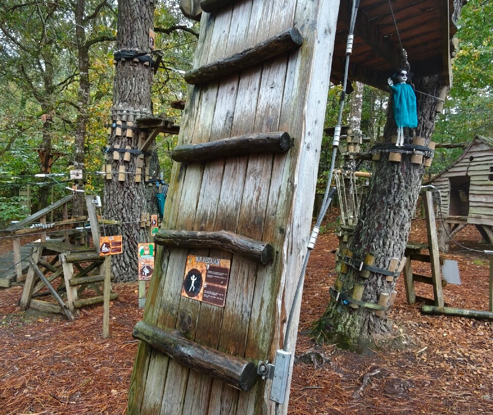 Foret Adrenaline-卡纳克必去景点