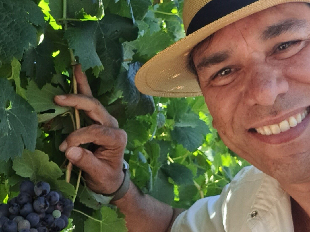 Experience Tour-里斯本必去景点