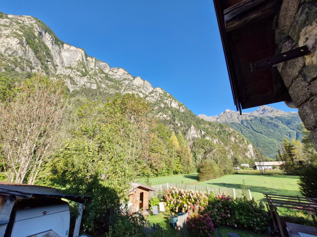 La Clé des Bois主图