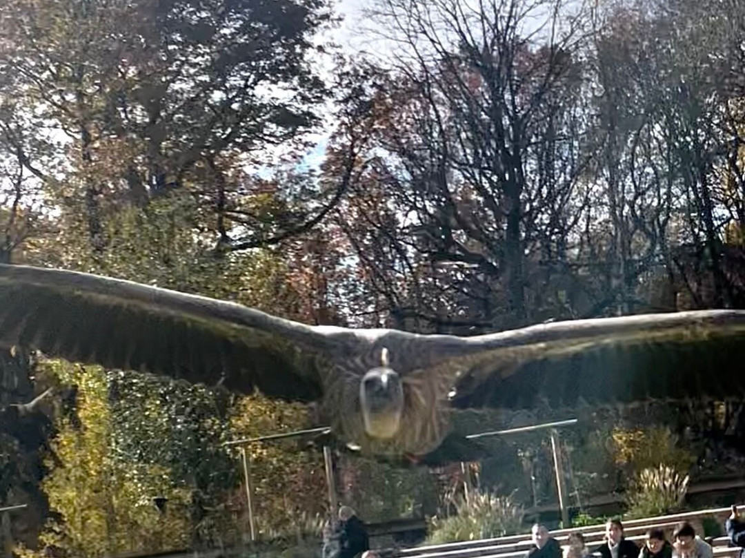 Espace Rambouillet-Rambouillet必去景点