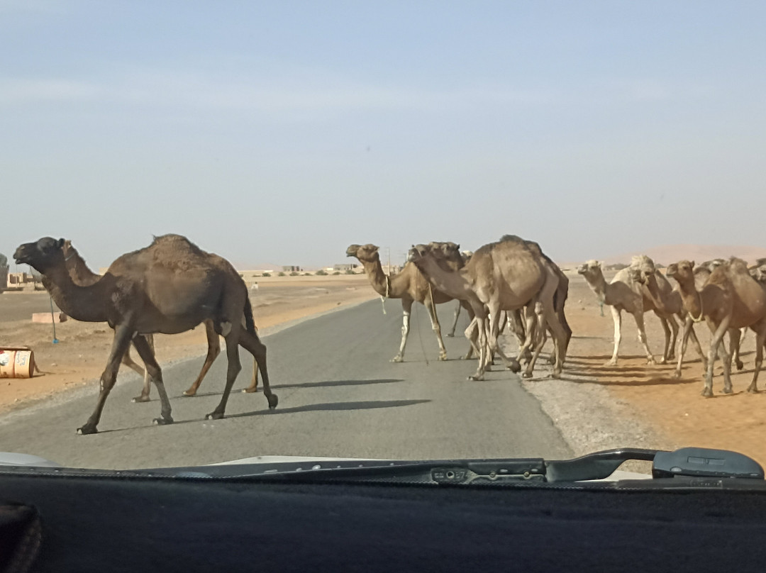 Rutas Al Desierto-马拉喀什必去景点