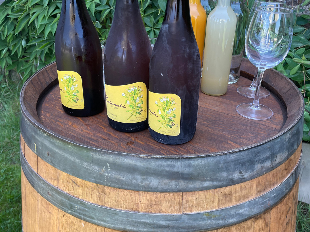 Viña Butron Budinich-兰卡瓜必去景点