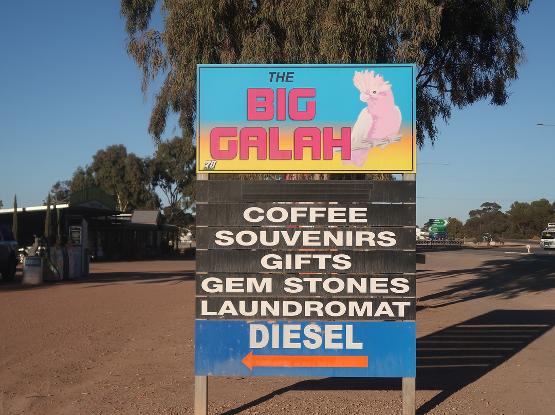 The Big Galah-Kimba必去景点