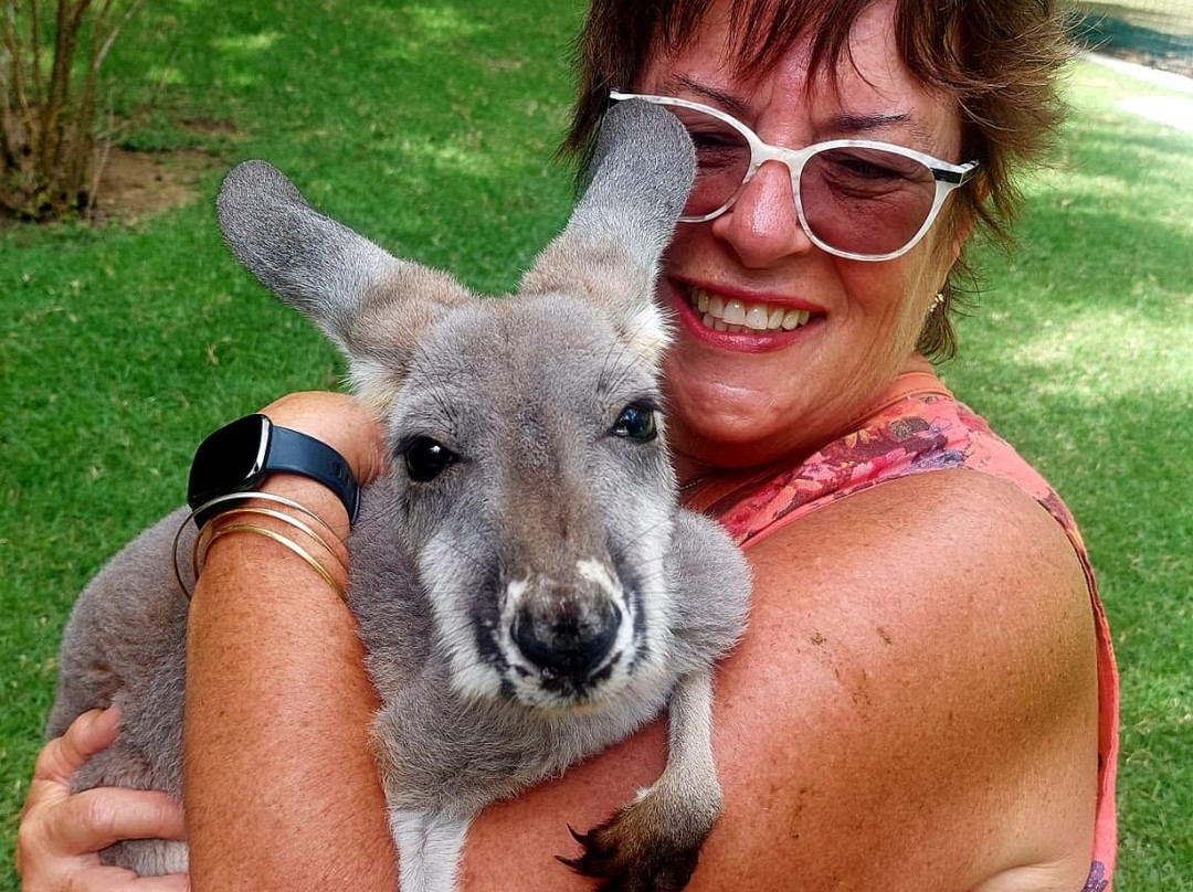 Island Vibe Destinations-Spanish Town必去景点