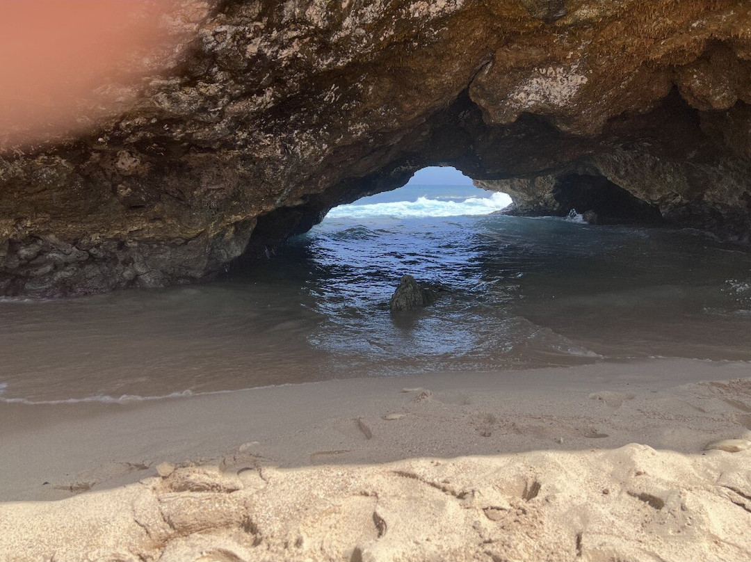 Arubiana-Noord必去景点