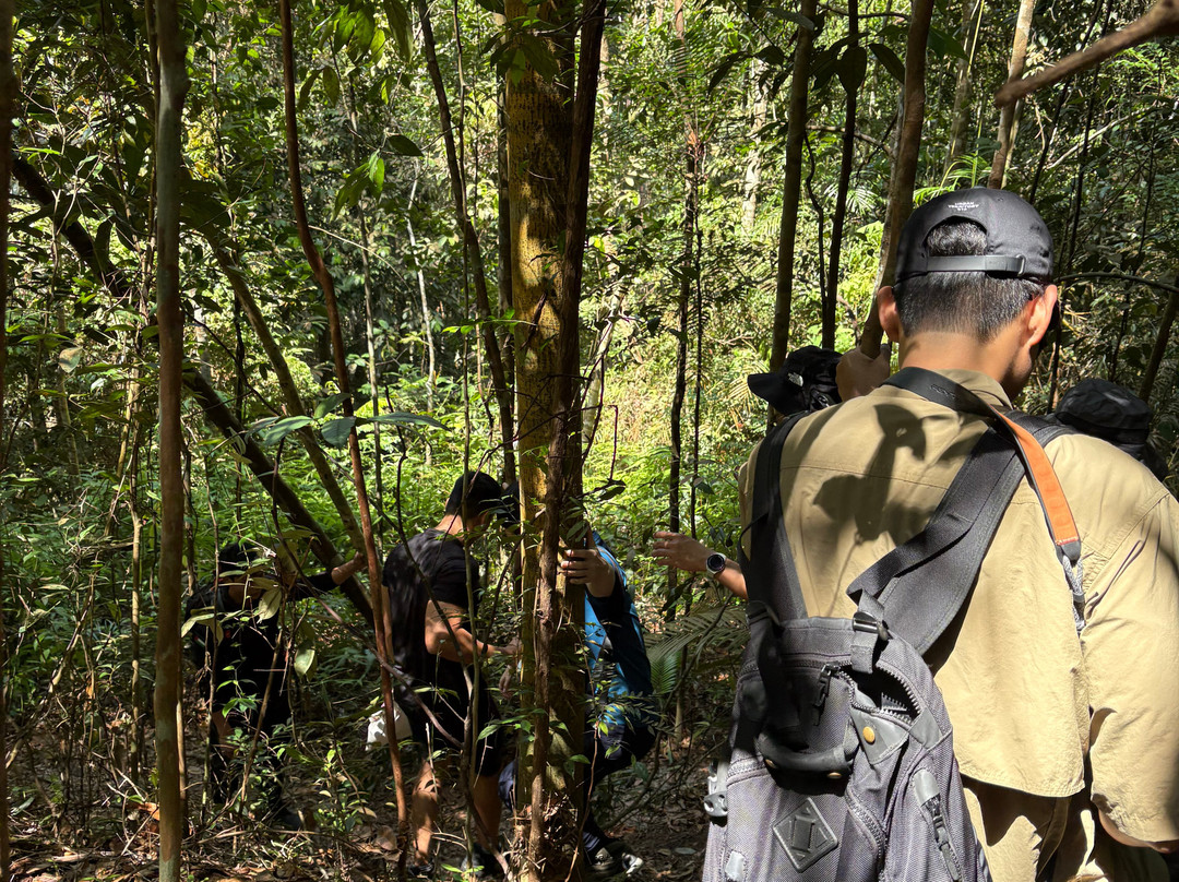 Panbil Nature Reserve-巴淡岛必去景点