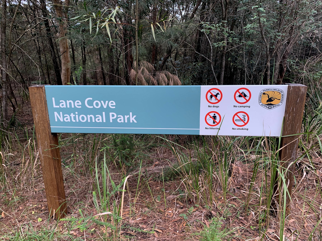 兰湾国家公园-Macquarie Park必去景点