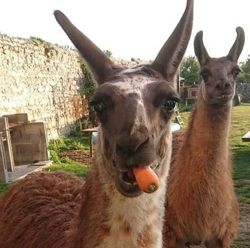 Holidays-Normandy-Nicorps必去景点