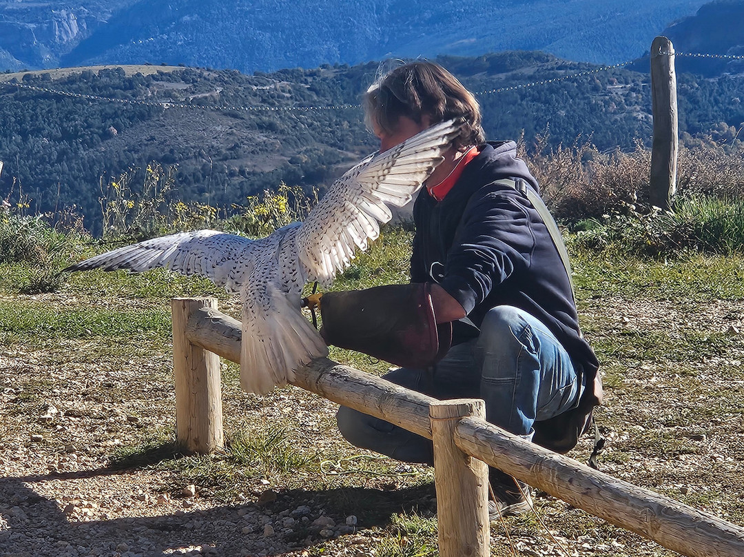 Zoo Del Pirineu-Oden必去景点