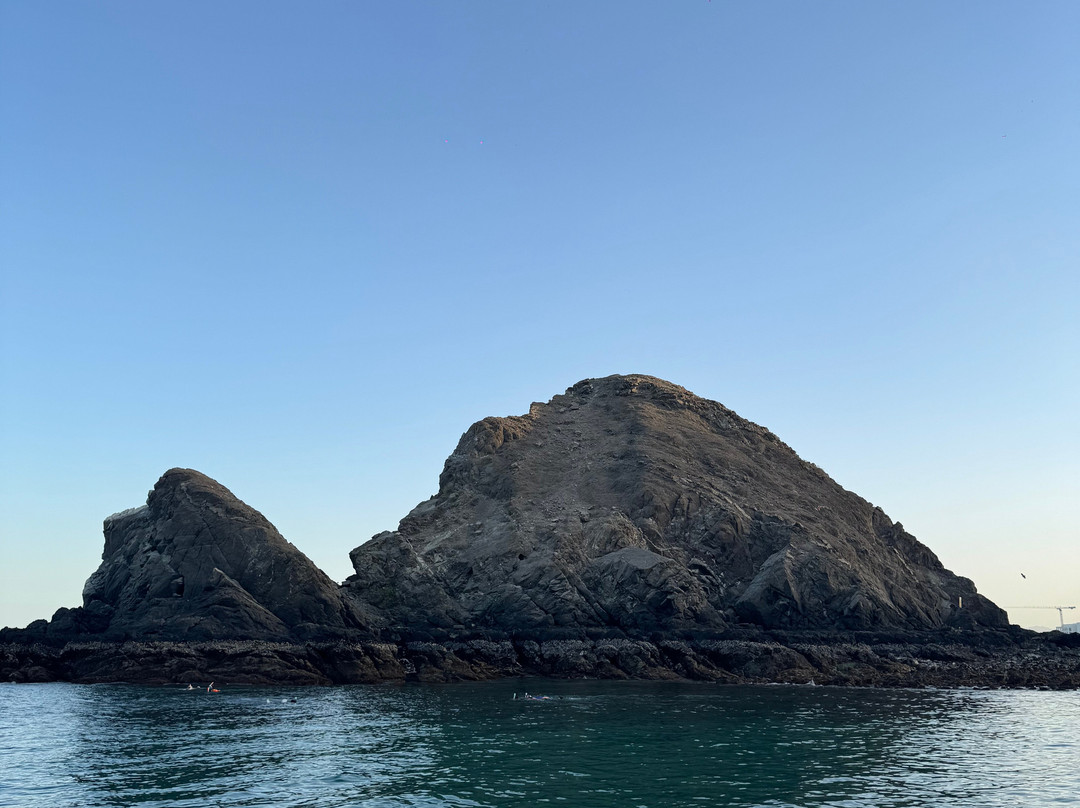 Aquanauts Diving Center-Al Aqah必去景点