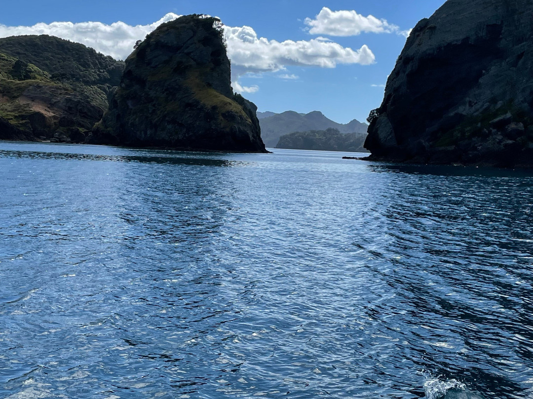 Hooked on Barrier-Great Barrier Island必去景点