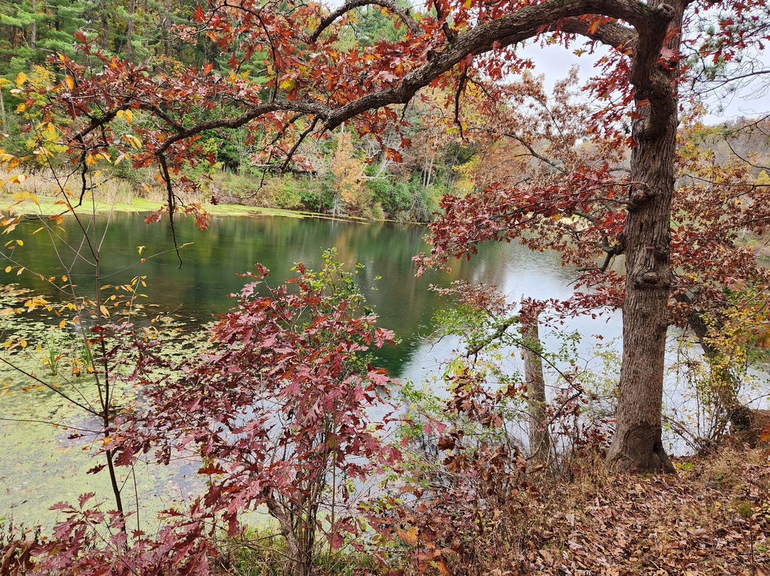 Stewart Lake County Park-Mount Horeb必去景点