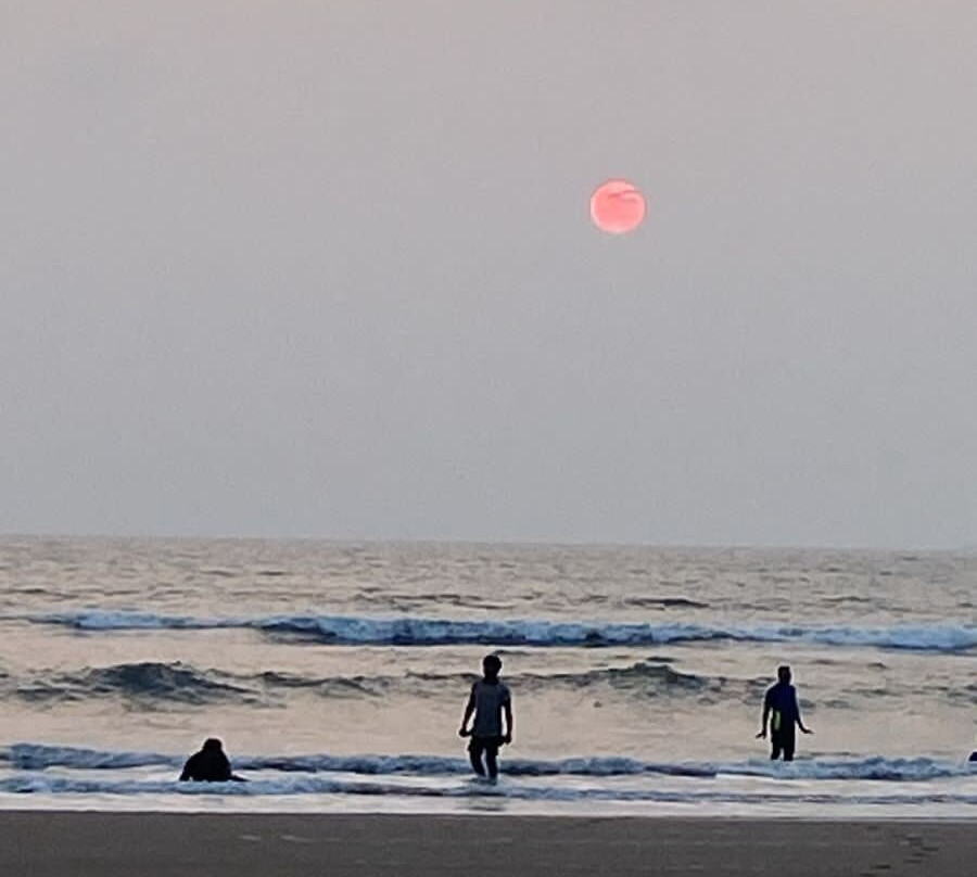 Denissons Beach Resort主图