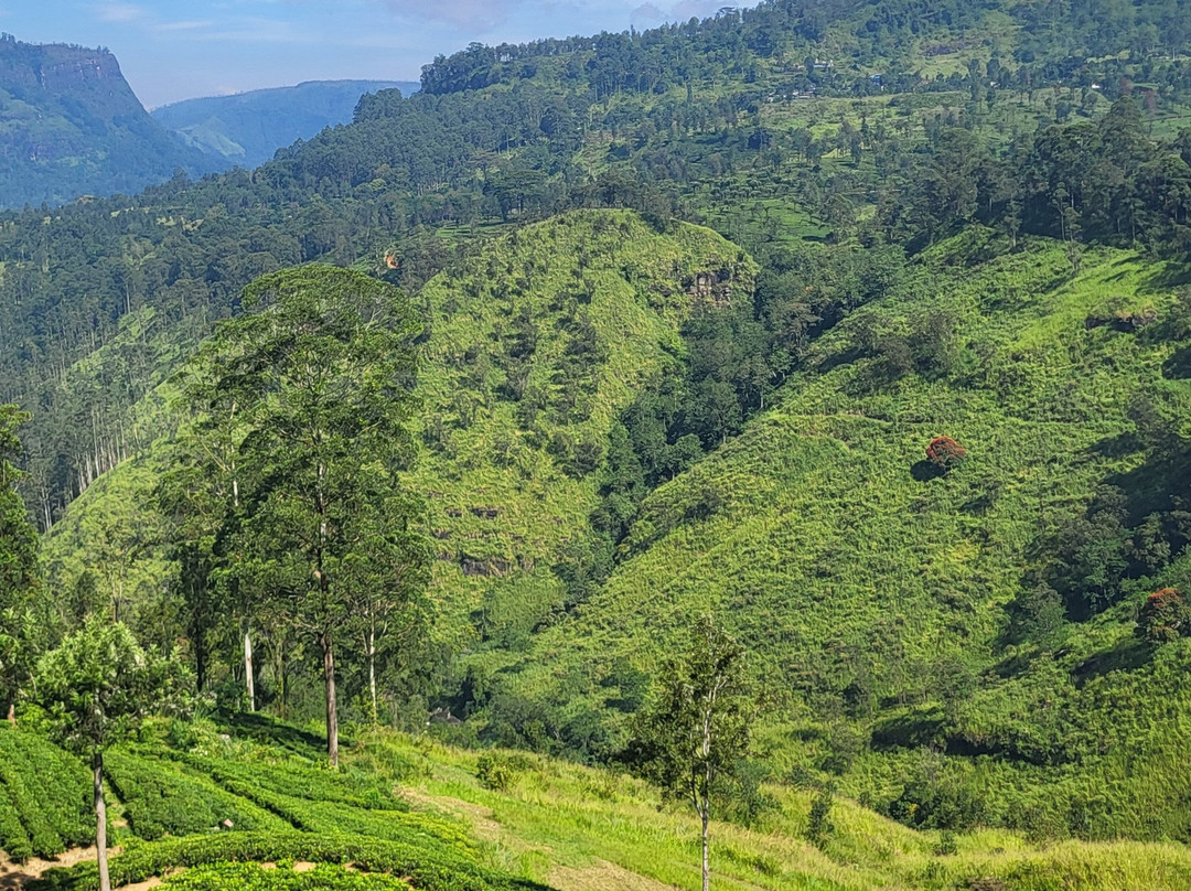 Holy India Travels Pvt Ltd-加兹阿巴德必去景点