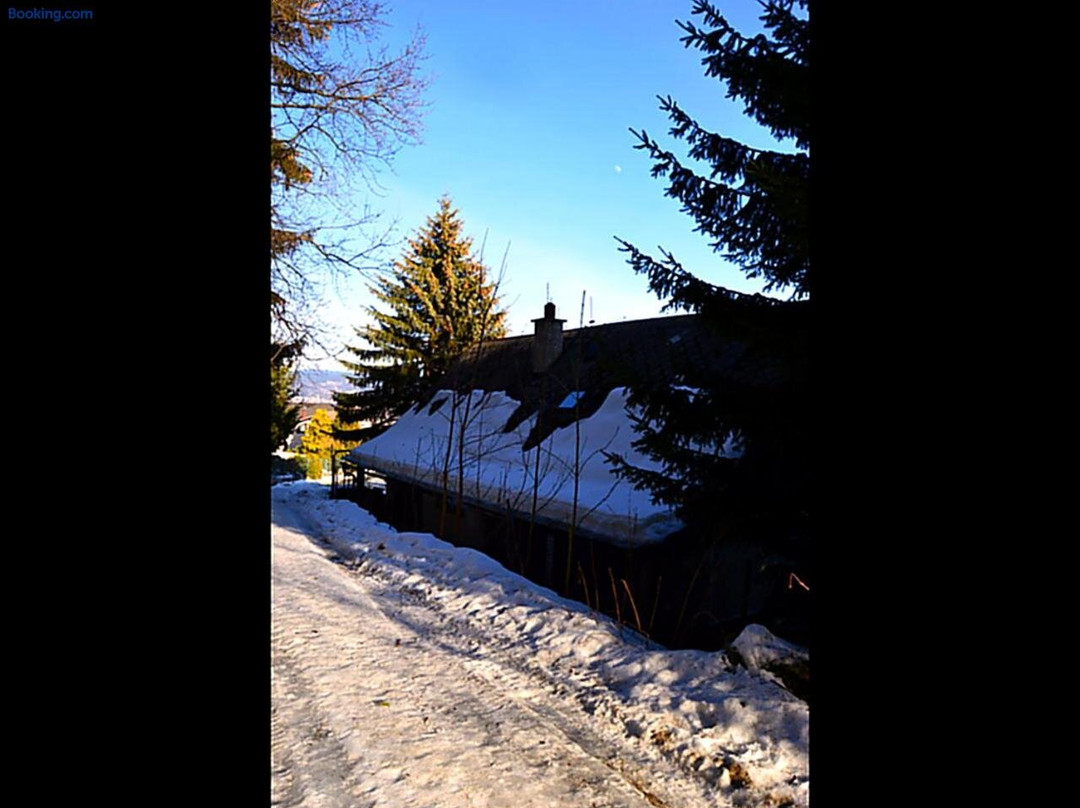 Penzion Bucharka主图