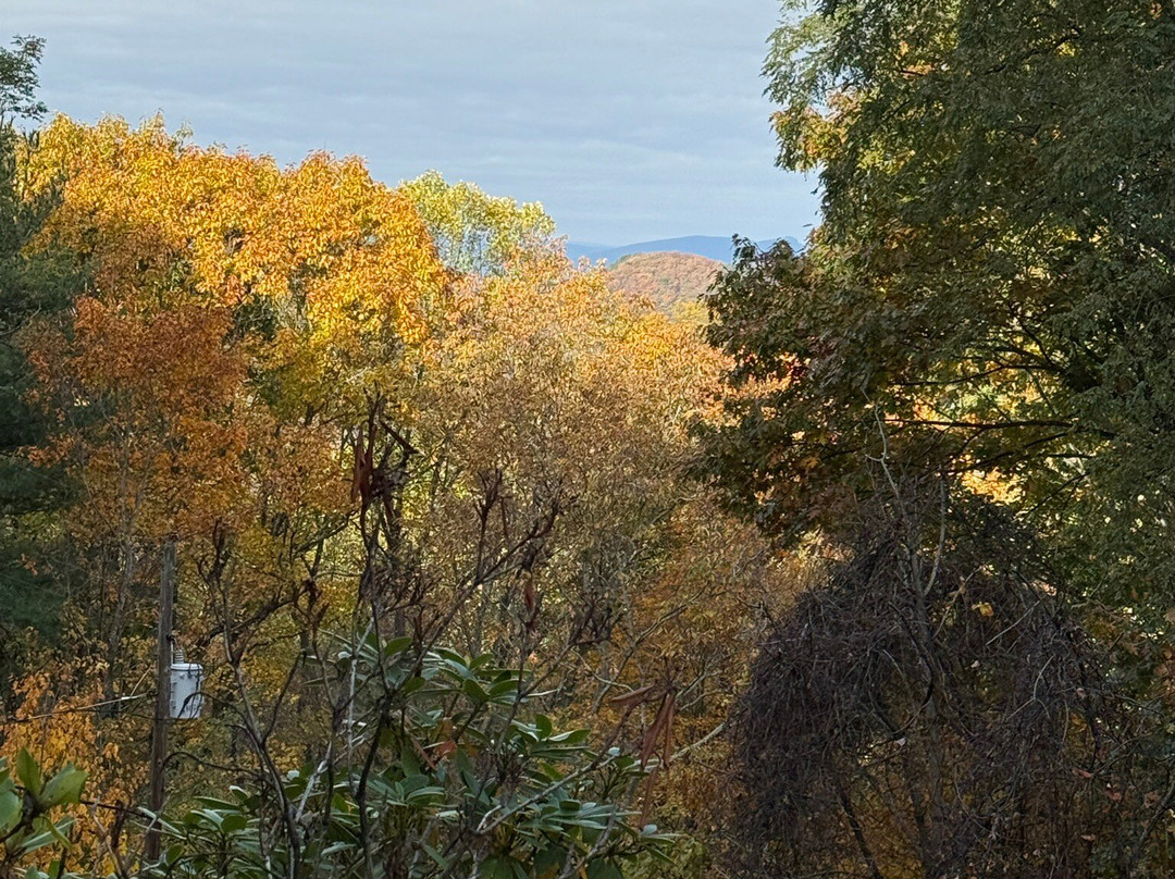 Sugar Tree Inn主图