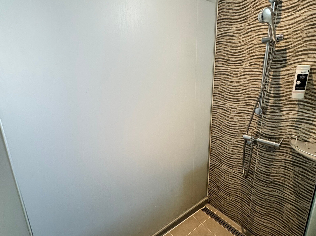 明洞乙支路彩鸿酒店主图