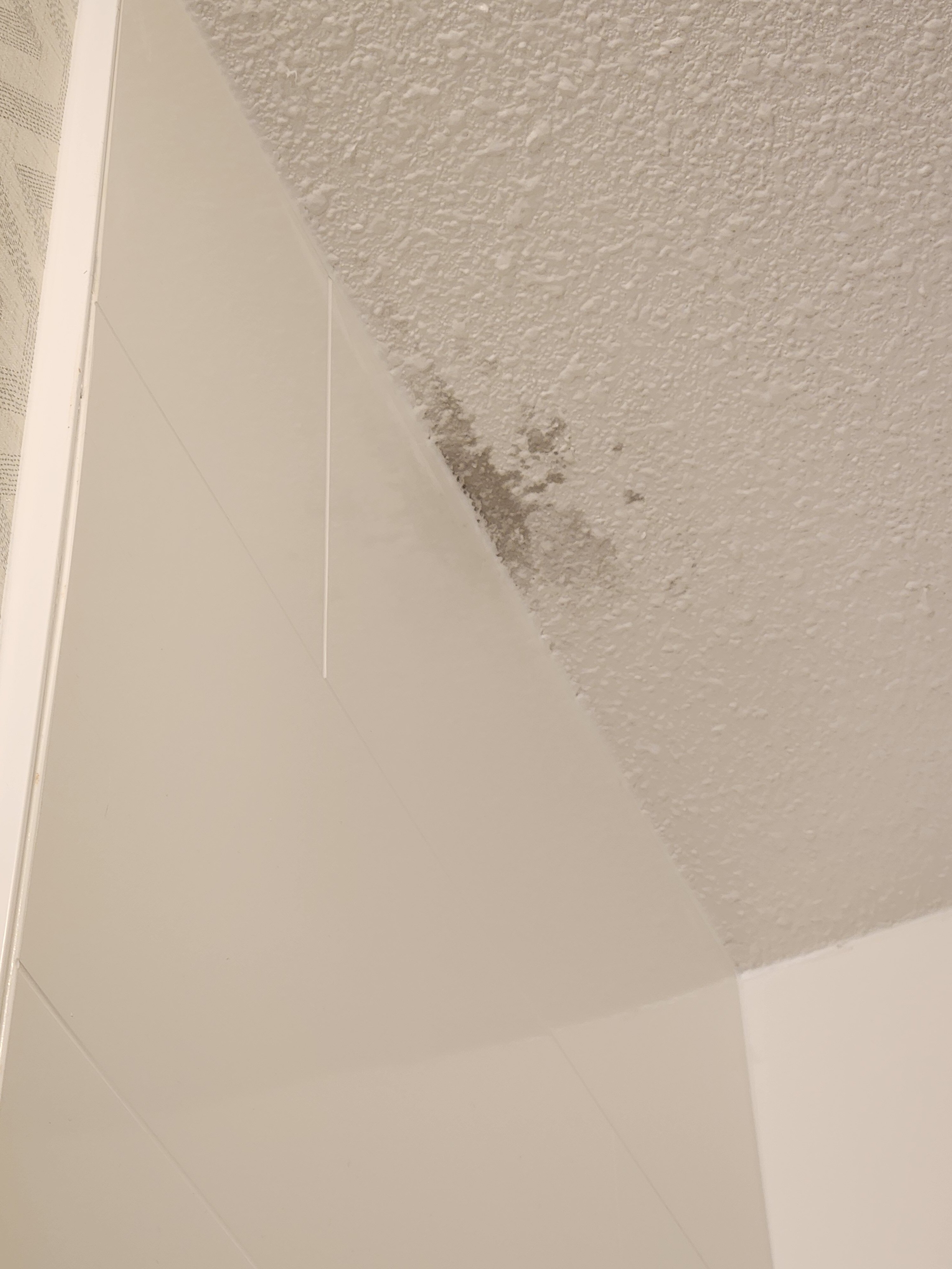 Holiday Inn Express San Antonio East - I-10 by IHG-官方