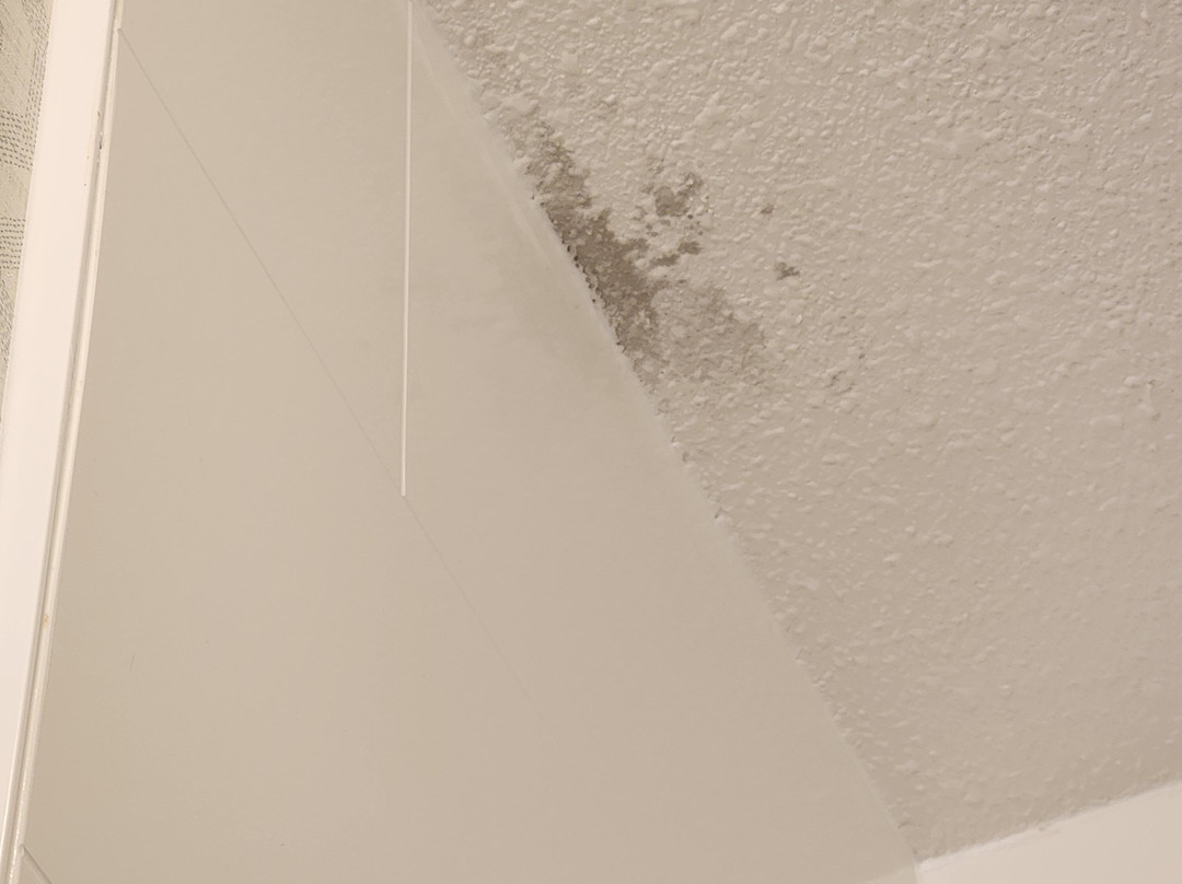 Holiday Inn Express San Antonio East - I-10 by IHG主图