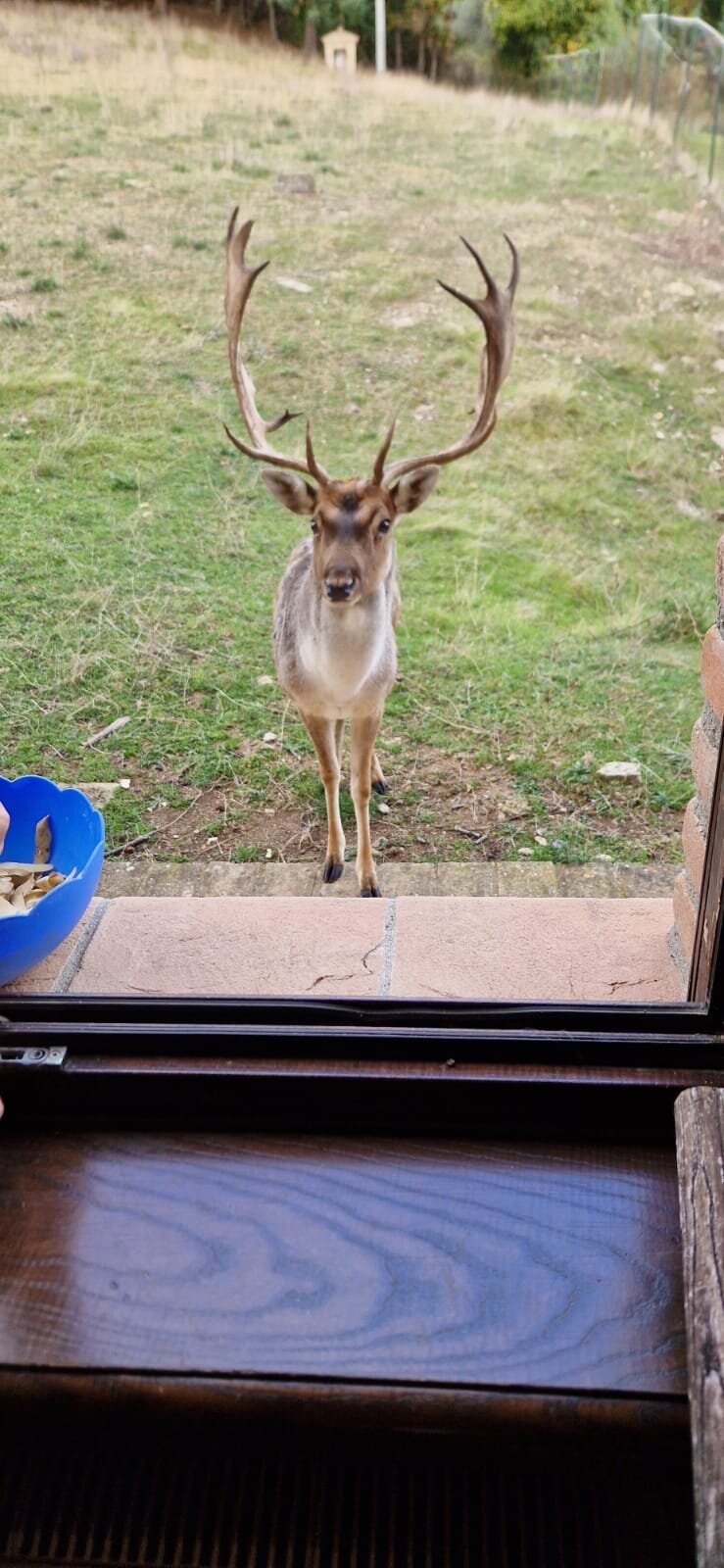 Bio Agriturismo Olivastrella-官方