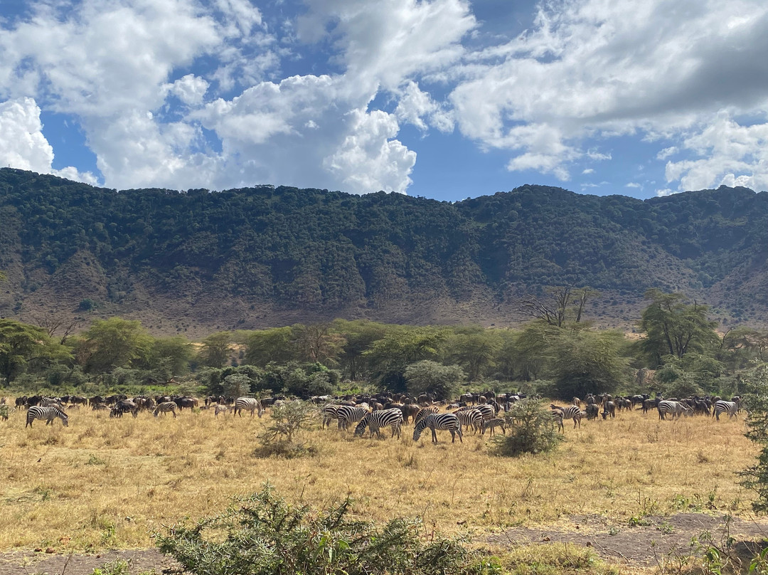 Zara Tanzania Adventures-莫西必去景点
