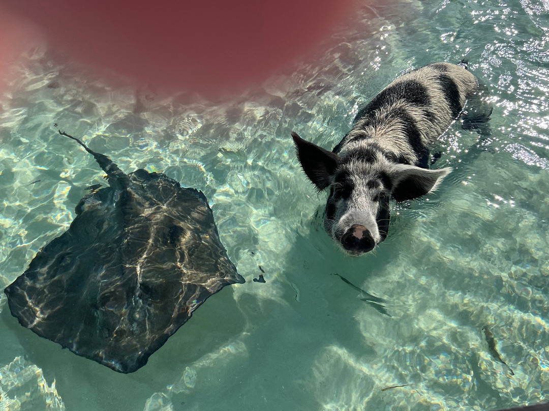 Sugar Adventure Company-day Boat Tours-大埃克苏马必去景点
