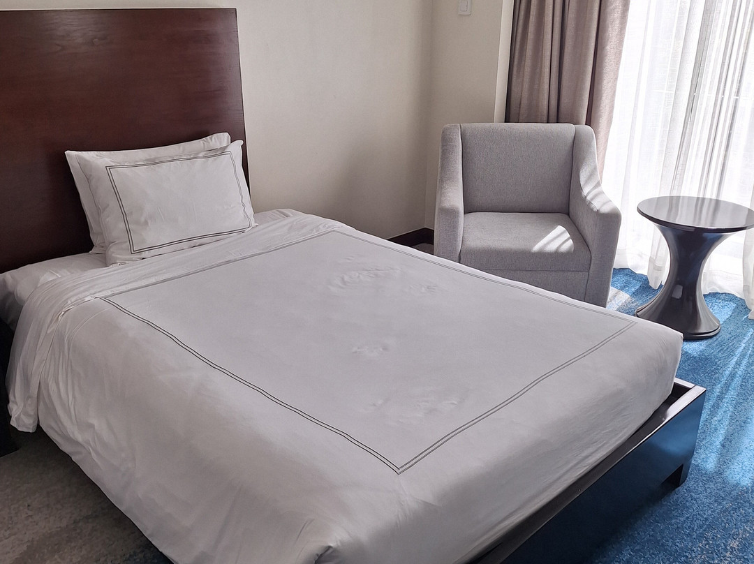 Widus Hotel Clark主图