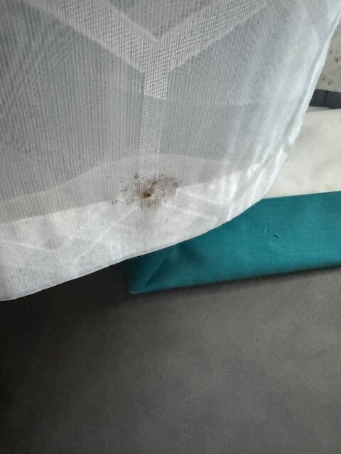 Ivey House Everglades Adventures Hotel主图