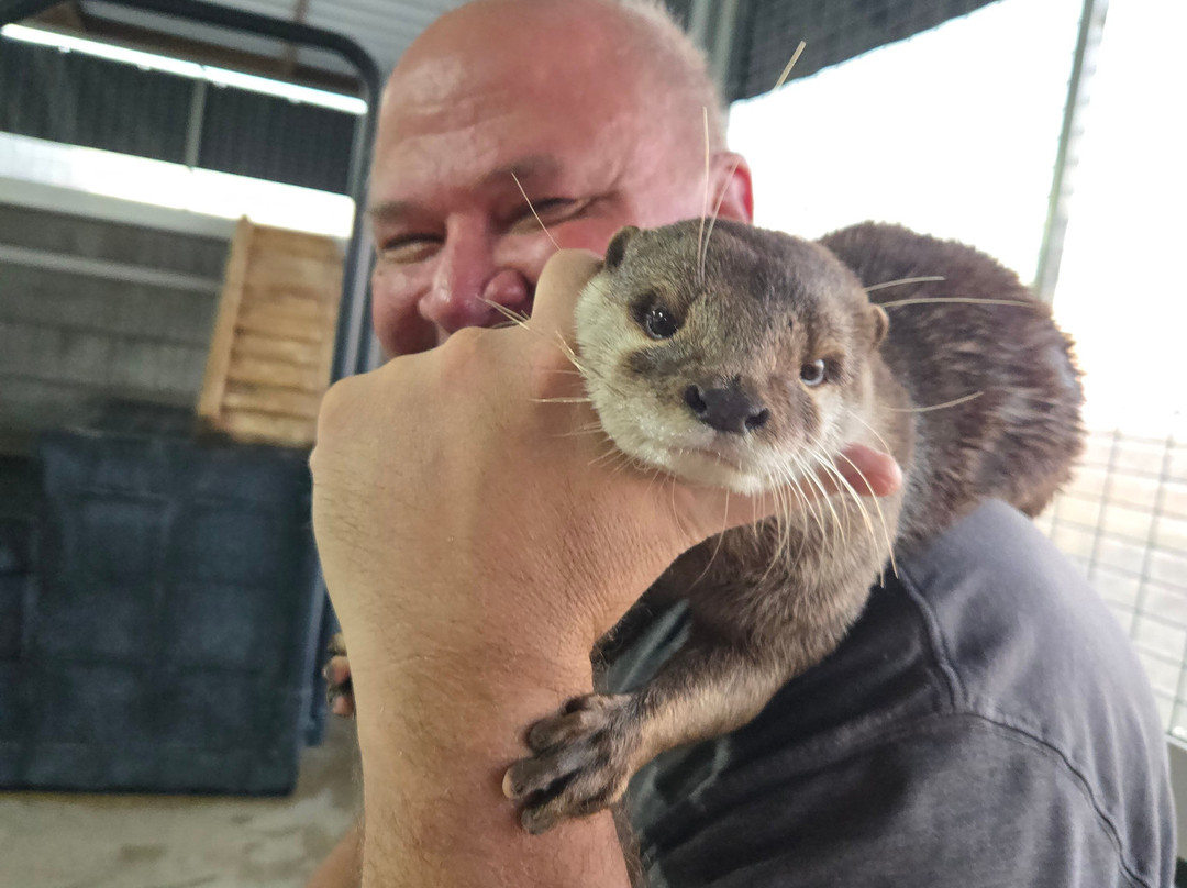 Blue Hills Ranch主图