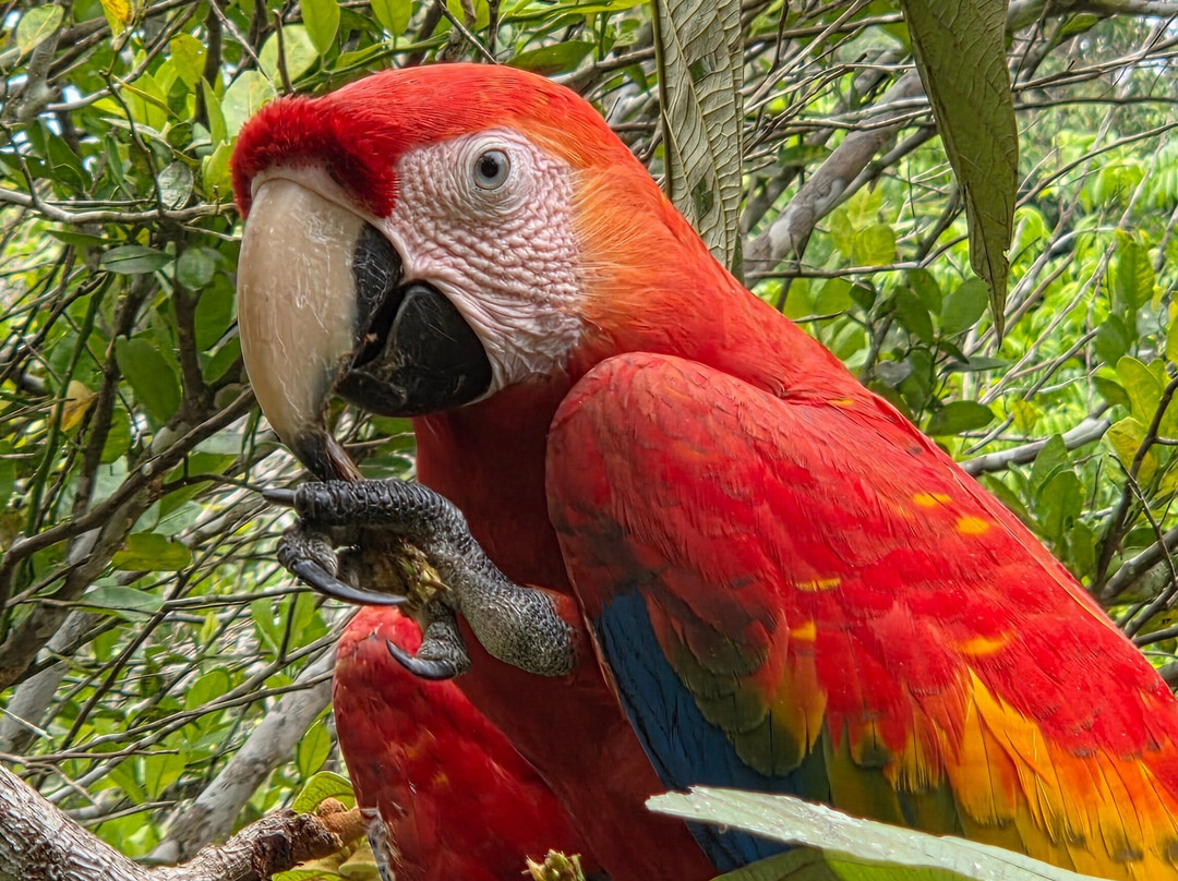 Machupicchu Challenge Peru-库斯科必去景点