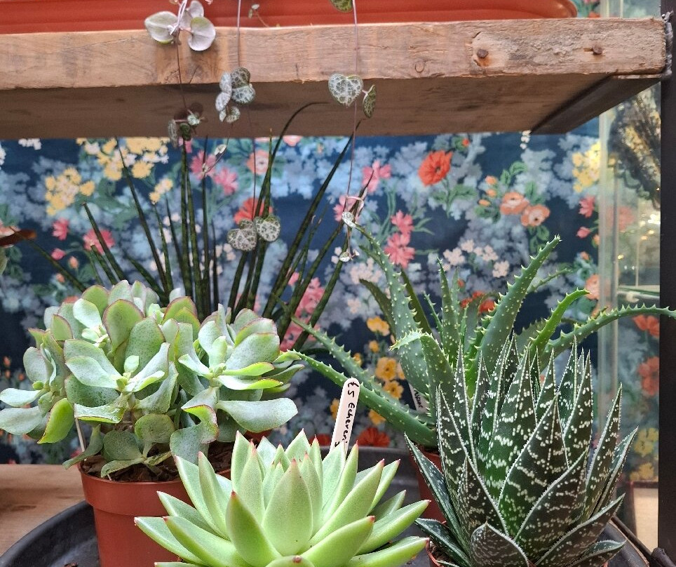 The Rutland Antiques Centre-贝克韦尔必去景点